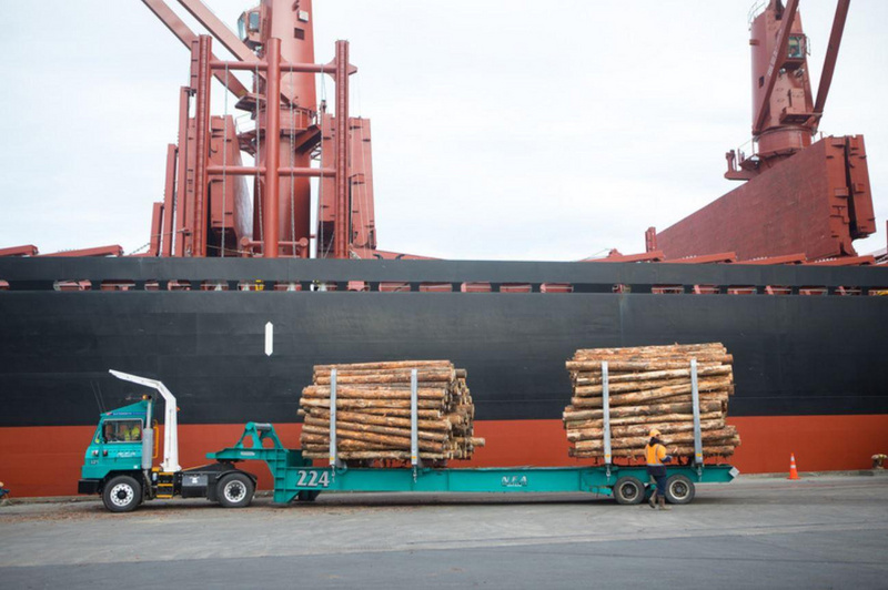 Custom Built Headboard Site Weld NZ Ltd